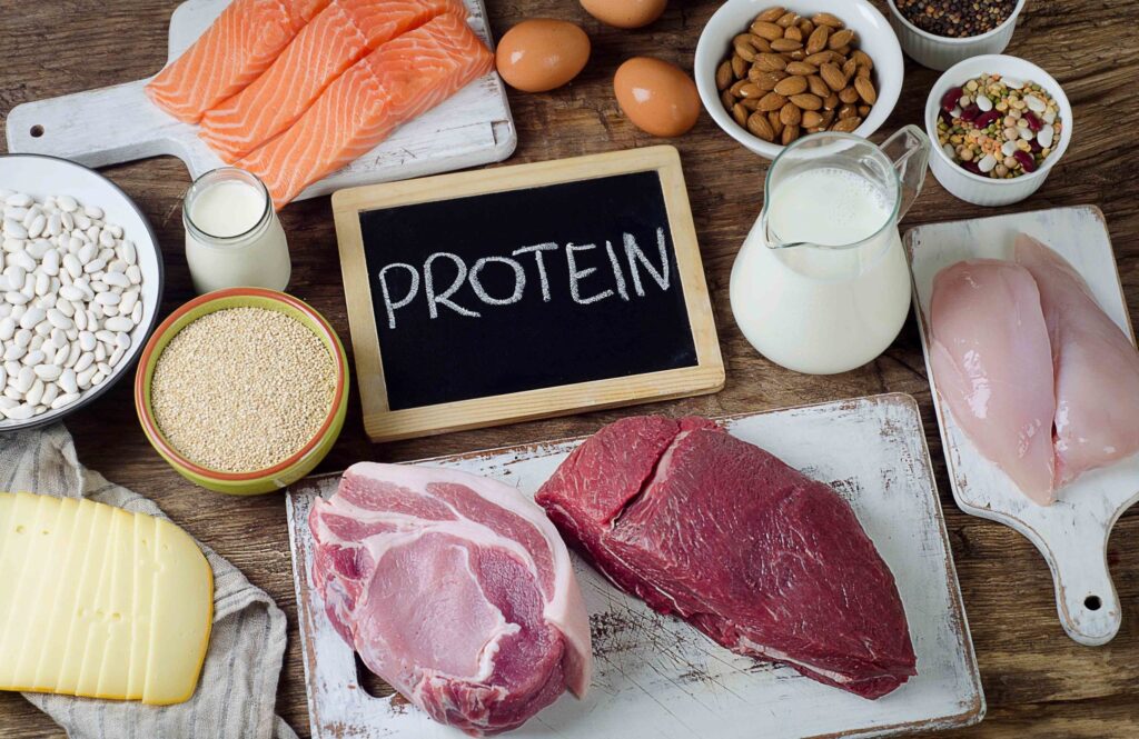 Protein Meals