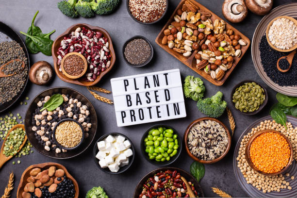 Plant-Based Diet Recipes