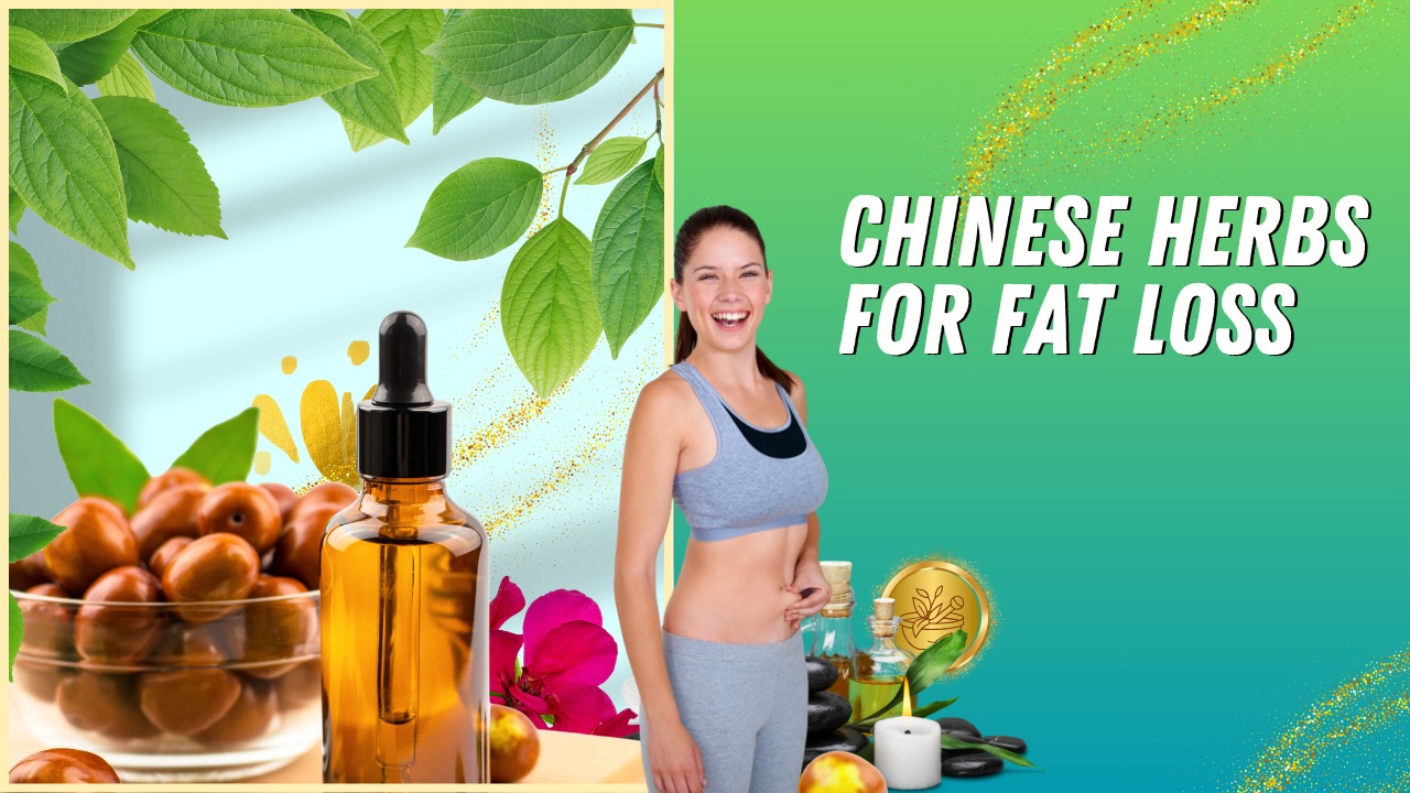 Chinese Herbs for Fat Loss