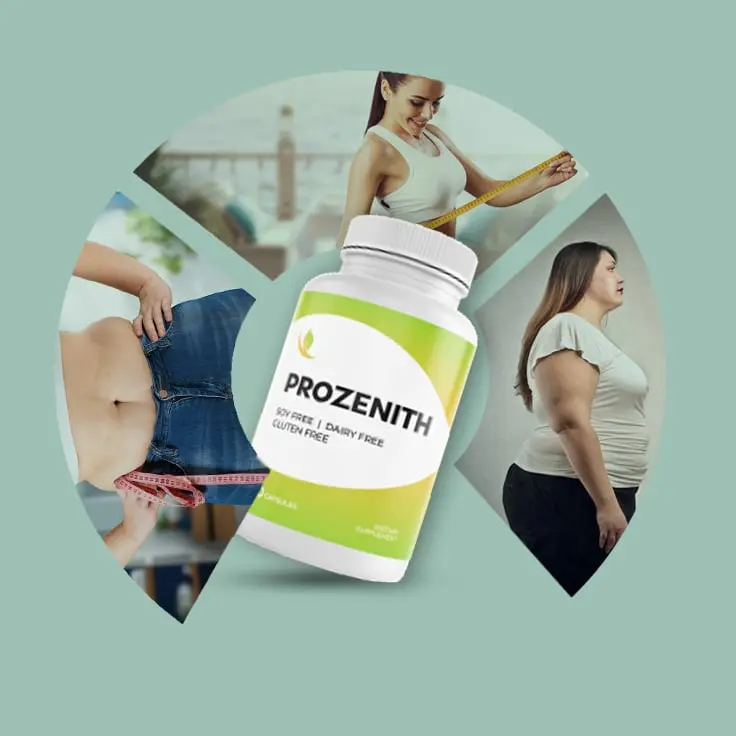 ProZenith Official Website