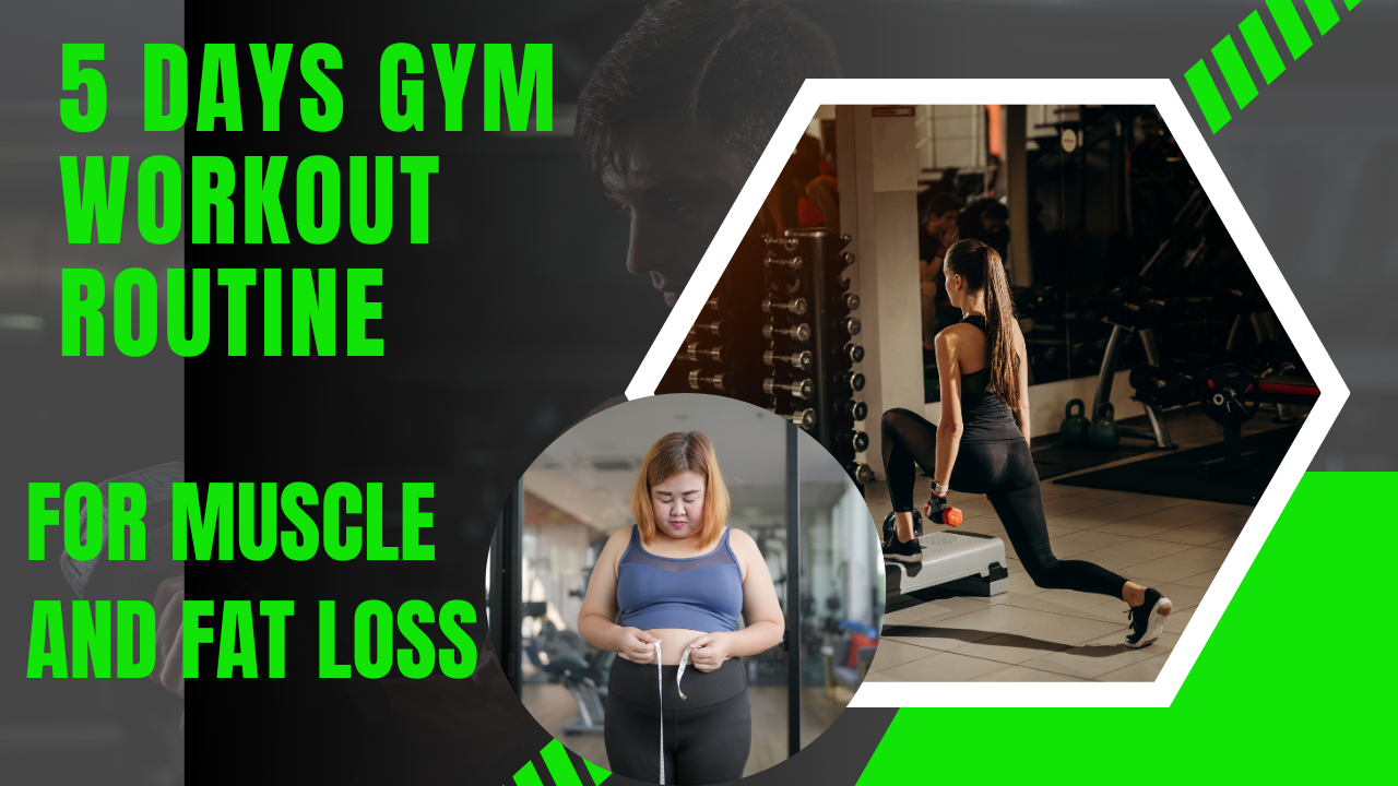 5 Days Gym Workout Routine