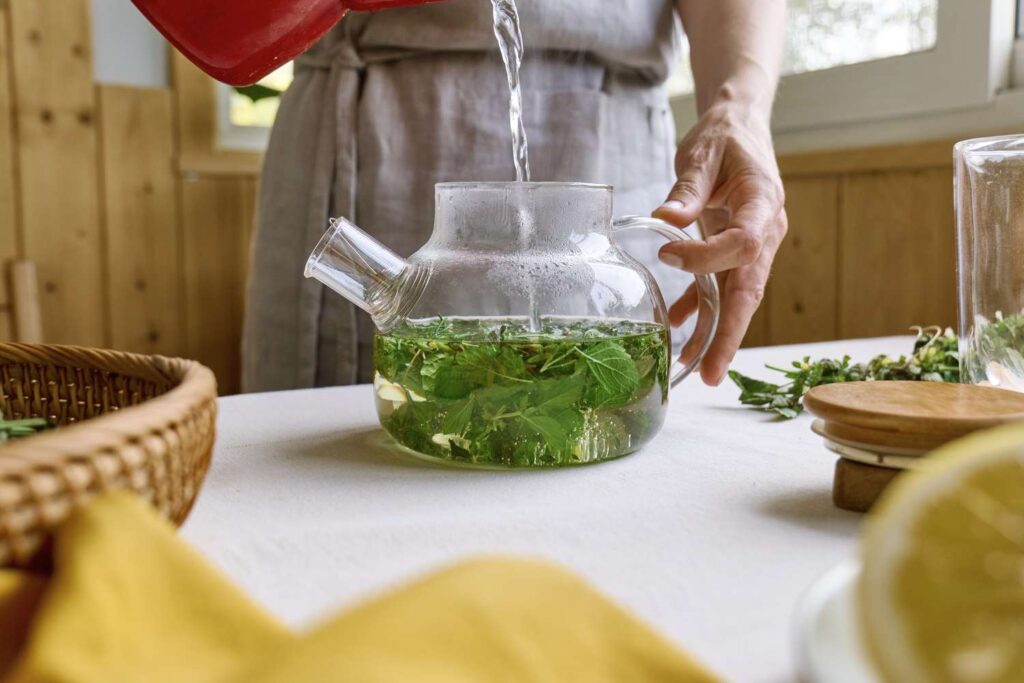 how to take lemon balm for weight loss